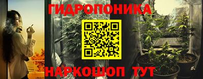 гашиш Кингисепп