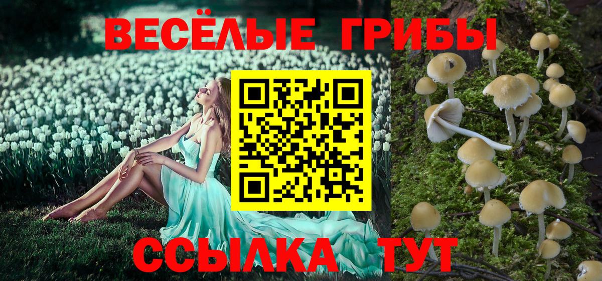 Вичуга  Галлюциногенные грибы Psilocybe  Вход с VPN  Галлюциногенные грибы мицелий 